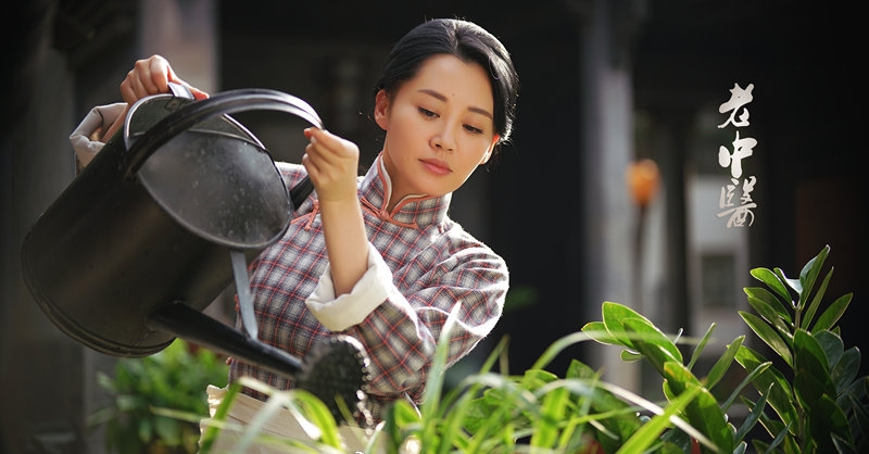 老中医许晴简介,91岁国宝级老中医评论