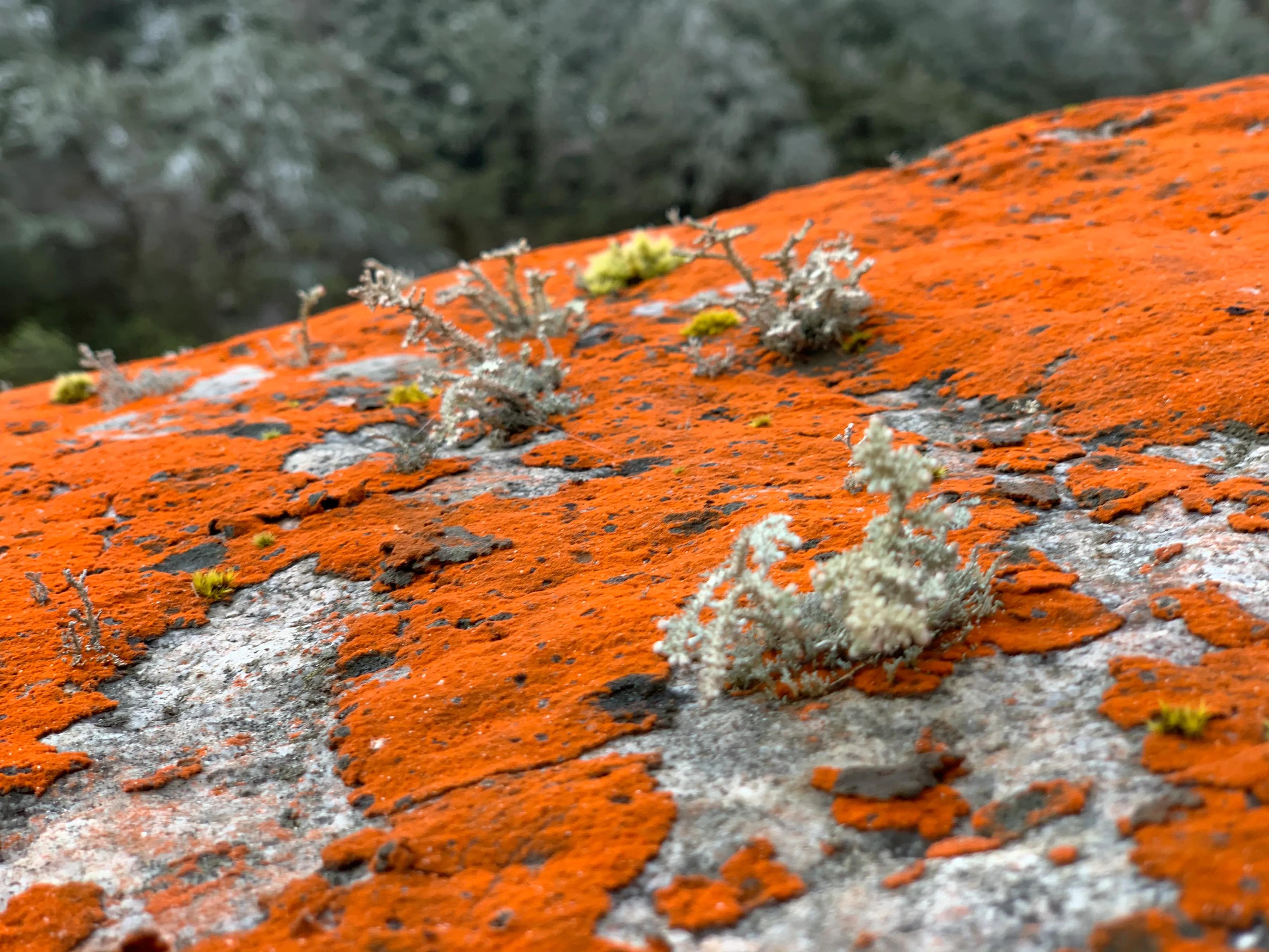 海螺沟燕子沟旅游攻略,海螺沟和燕子沟哪个更值得去