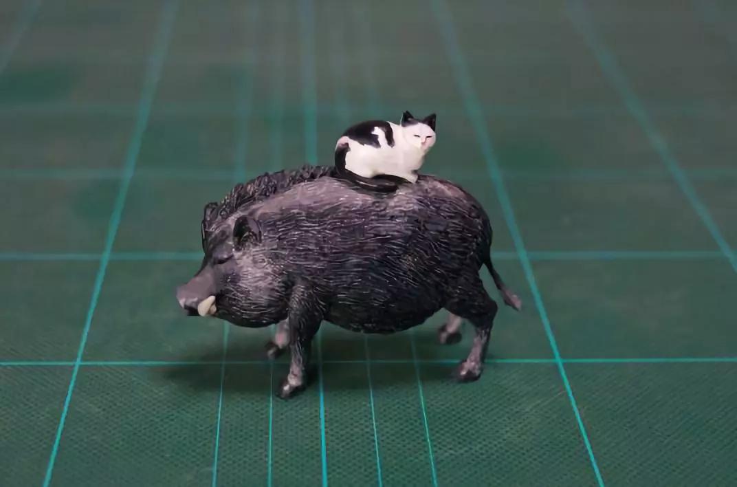 动物沙雕表情包搞笑,沙雕模仿动物表情包