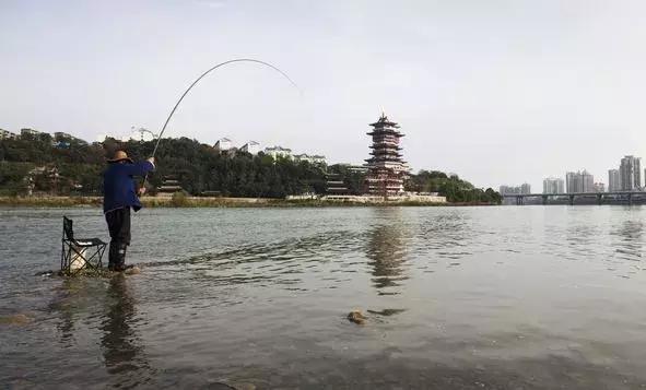 鱼竿的选择,8.1米鱼竿水库钓鱼需要几h的鱼竿