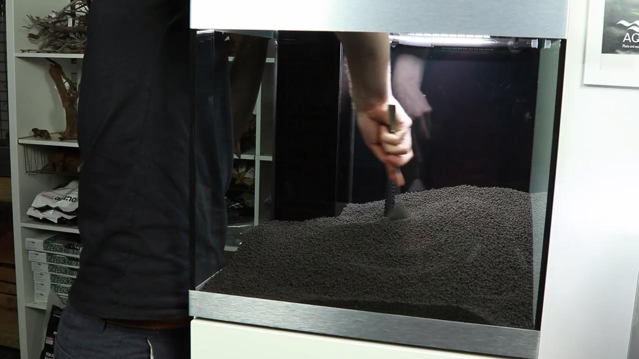 草缸造景如何栽水草,草缸造景怎么种水草种子