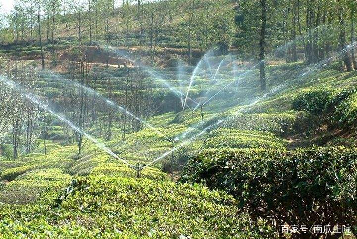 水溶肥效果可靠吗,多元素水溶肥和高钾水溶肥的区别