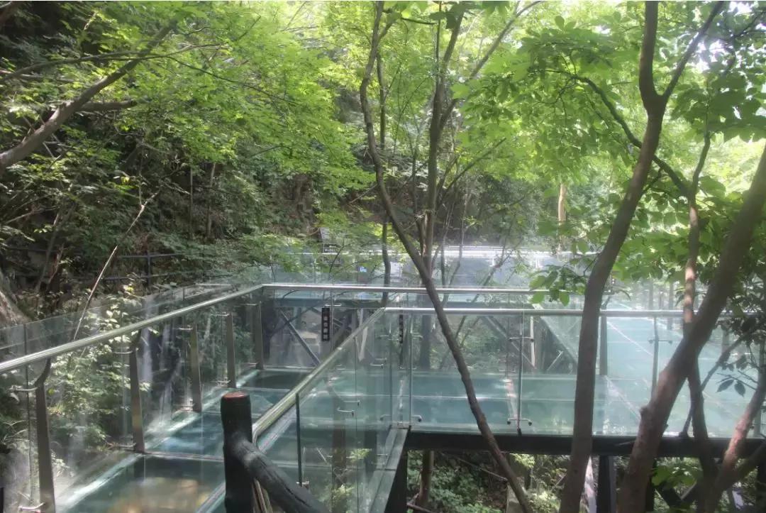 雨后龙津溪地,山水显梦幻