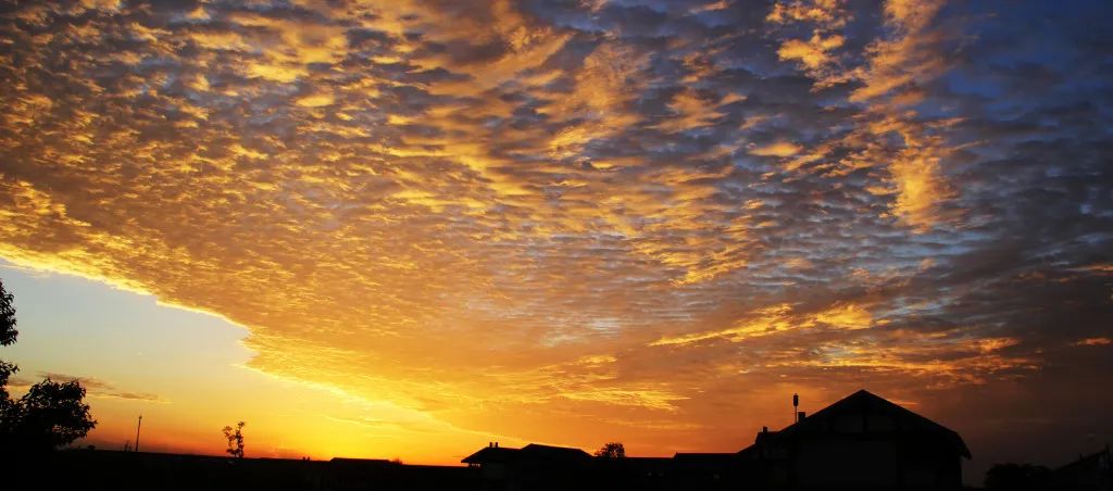 成都东软学院青城山下,东软青城山校区