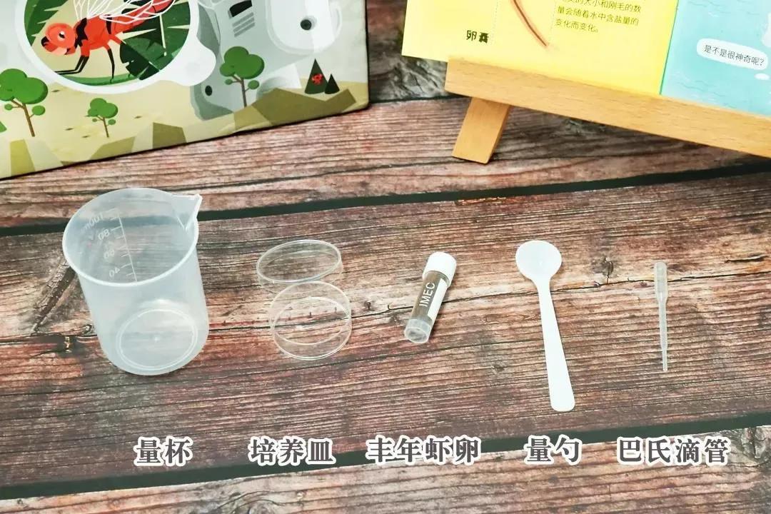 挖到小汽车奇趣玩具,挖到宝的玩具大全