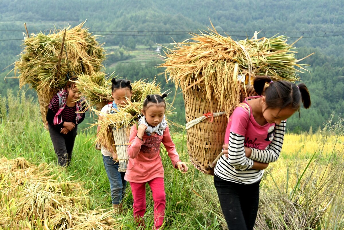 四川通江县十大旅游景点,四川通江县县长