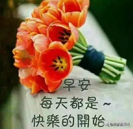 微信早上好最暖心祝福问候语,早上好问候祝福语暖心句子图片