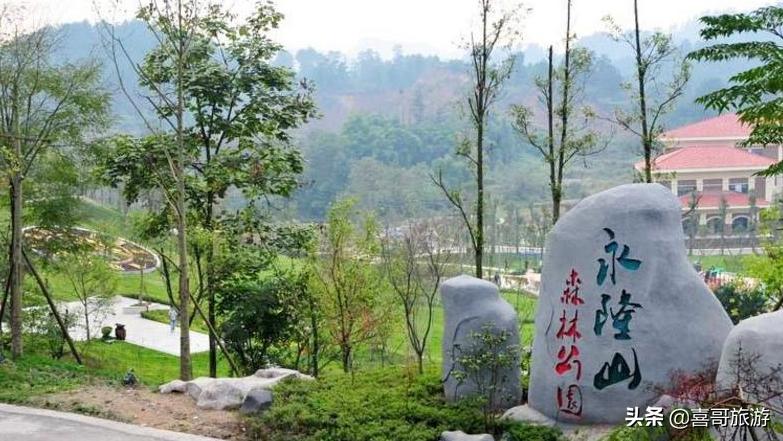 重庆南川区旅游攻略,重庆市南川区旅游攻略