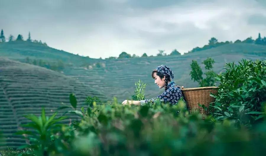 成都白鹭湖一日游详细攻略,白鹭湖一日游攻略图文