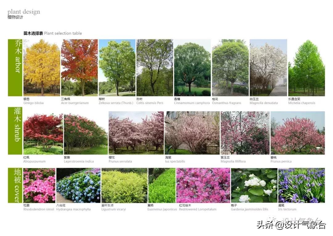 id排版必备技巧,id方案排版