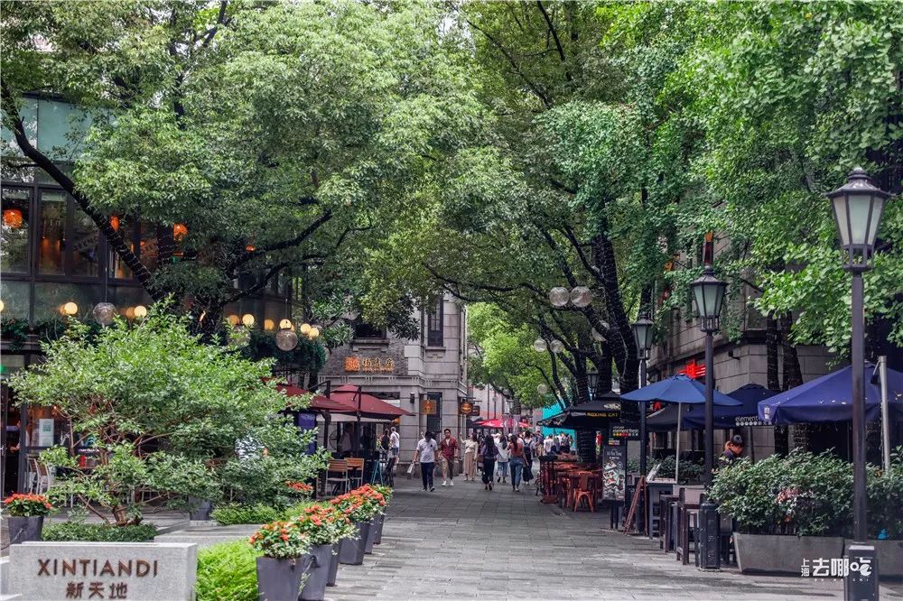 对不起，我要回黄浦了