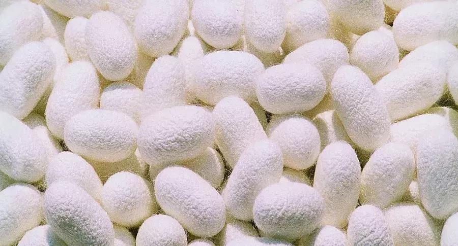 常见纺织原料,史上最全常用纺织原料