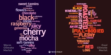 法国国家认证侍酒师|带你认识葡萄酒“甜心美人”：梅洛
