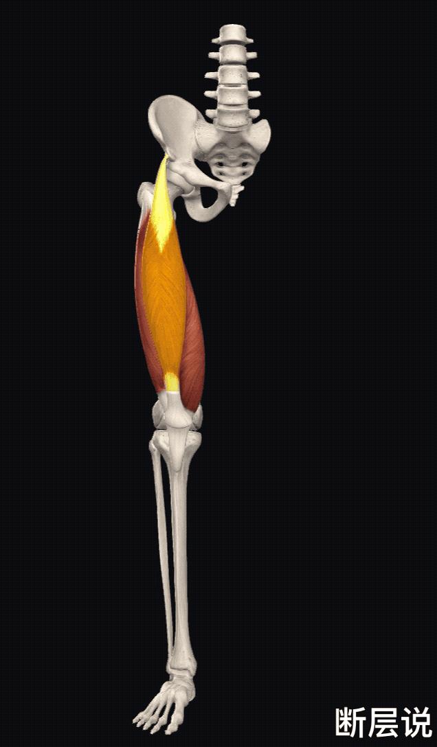 天气冷运动护膝推荐哪种,天气冷了保暖护膝
