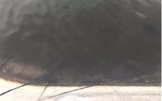 八种常见水产养殖水质！速来辨别你的池塘