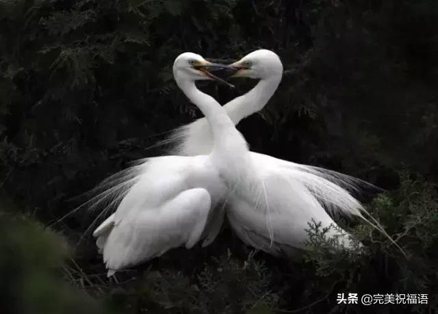 今天2.1，2月第1天，谁编的，太好笑了，给群里乐一乐~