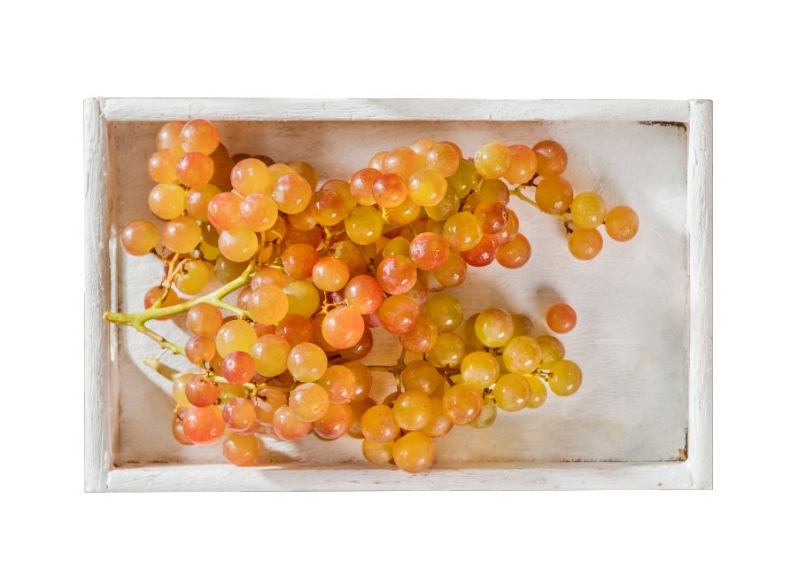 有玫瑰香气的葡萄,有玫瑰的香味的葡萄