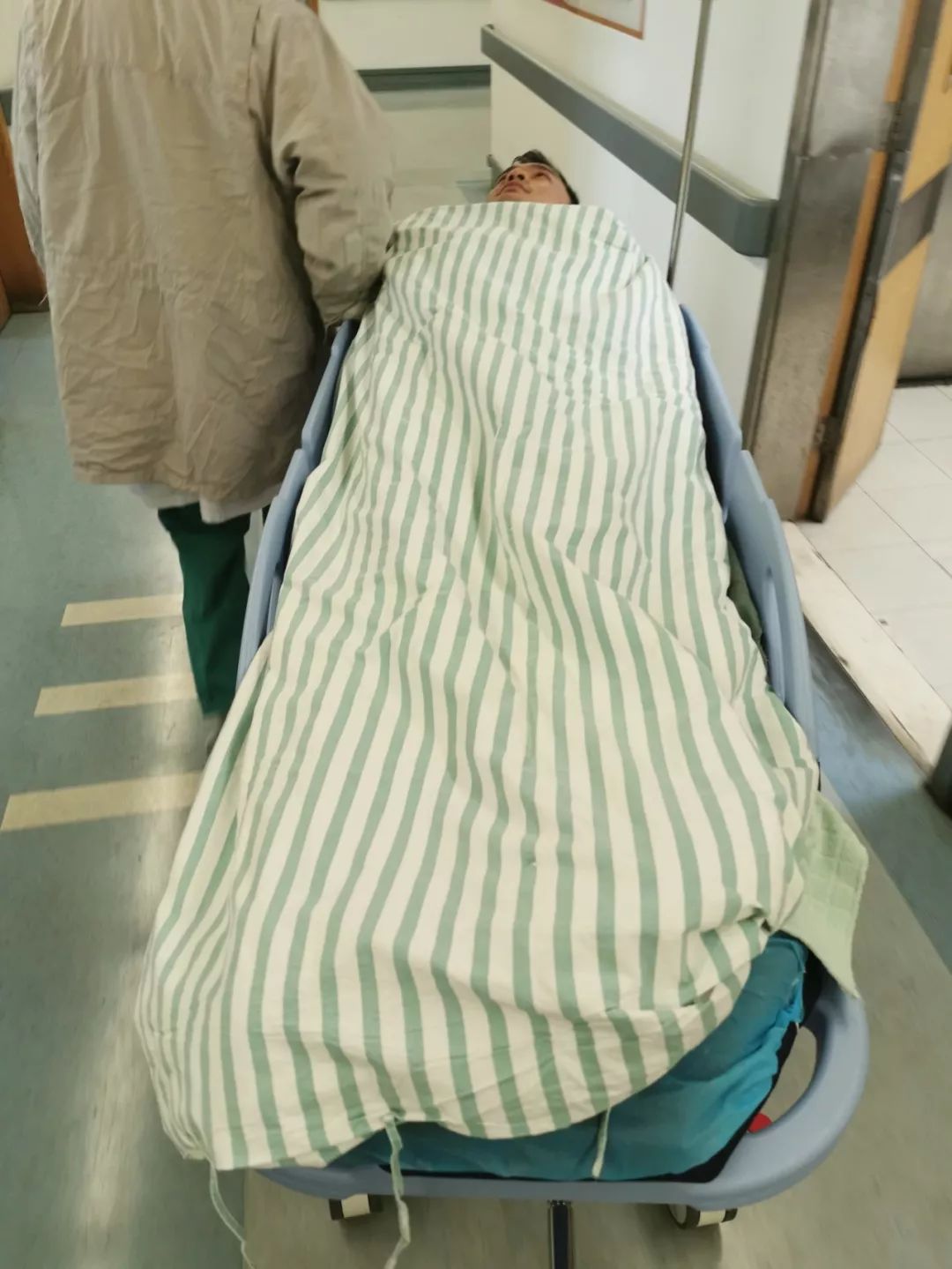 一只鸭引发血案,一只鸭引发的血案