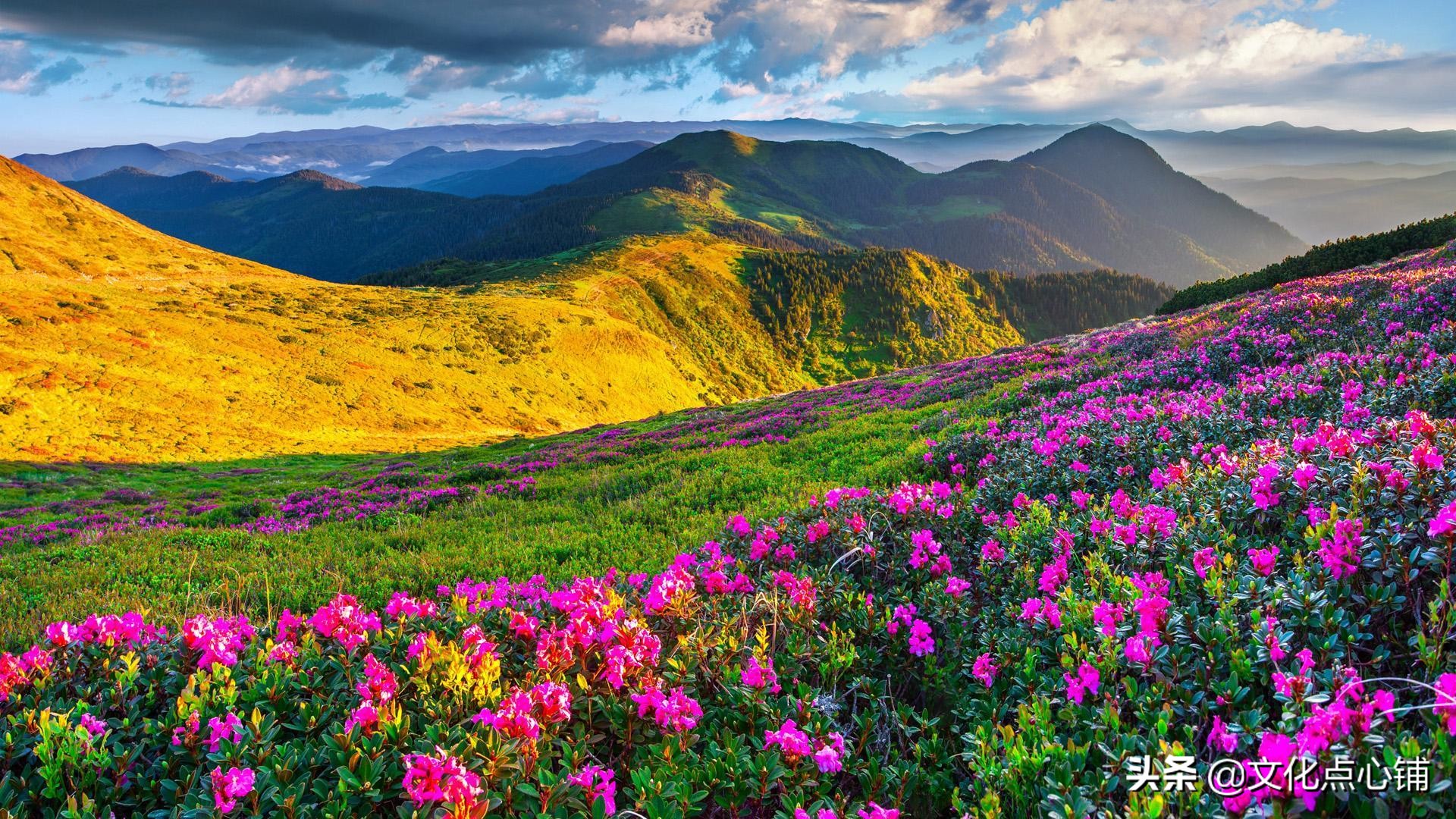 初春小雨古诗五绝,五绝初春的诗词