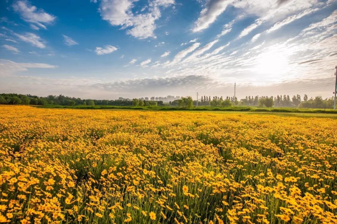 早读天津,今日早读天津