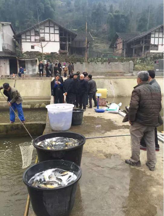 访四川蜀望农林科技有限公司董事长赵志刚