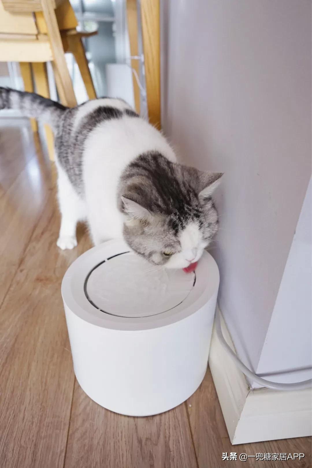 瀹跺眳鏀剁撼濂界墿鎺ㄨ崘鐪侀挶,瀹跺眳鏀剁撼濂界墿鎺ㄨ崘鍓嶅崄