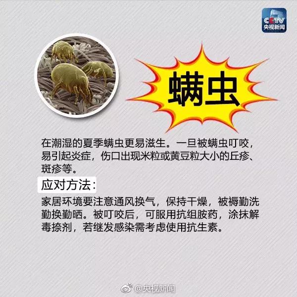 南宁邕江红火蚁,被广西红火蚁咬了怎么办