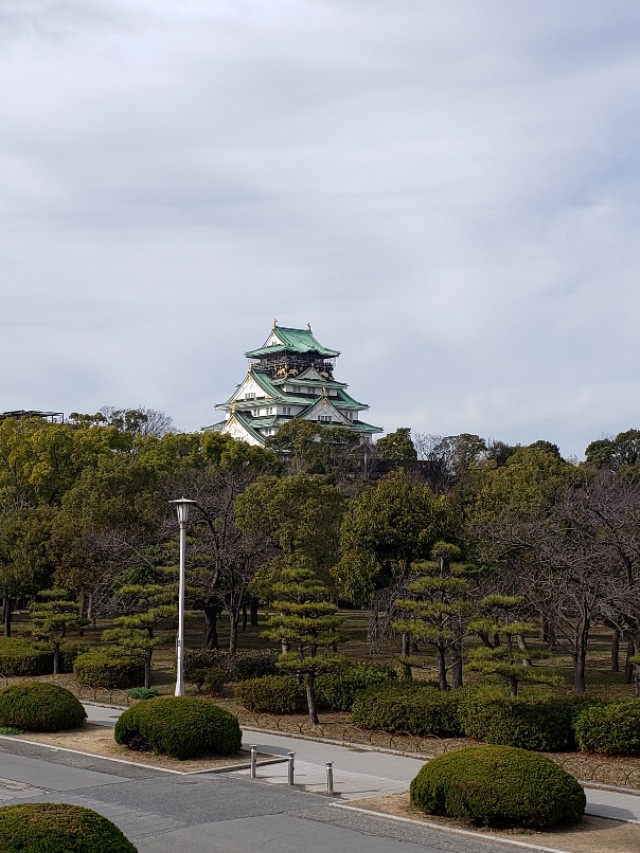 如果你今生只想去一次日本，千万别跟我一样，报这样的旅行团五