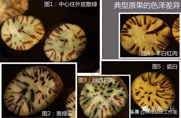 玩星月菩提算什么段位,星月菩提顺白盘玩难度