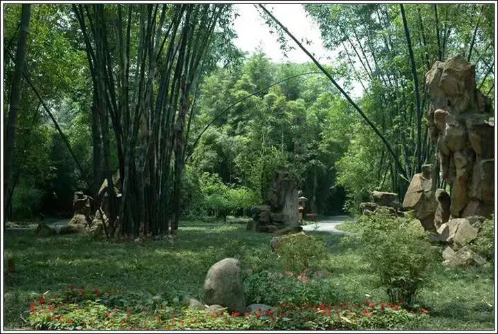 成都望江楼公园简介,成都望江楼公园要门票吗