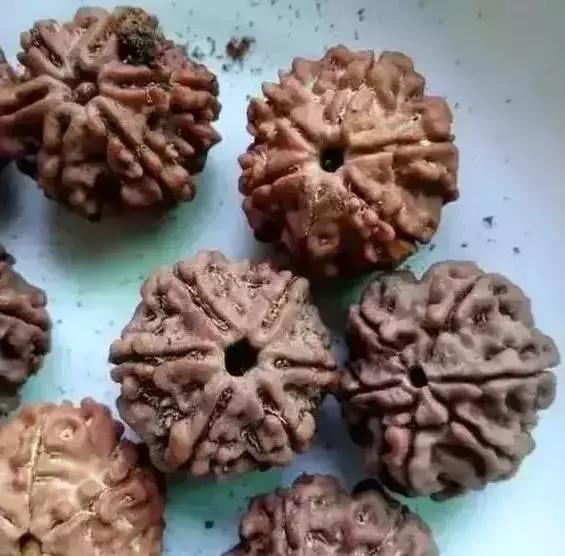 木质手串上的小虫子,手串里的小虫子