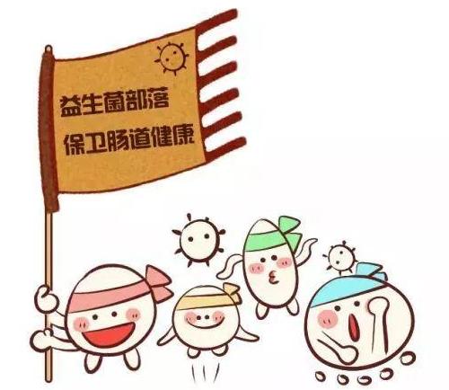 怎么改善泰迪的口臭,泰迪狗狗口臭什么原因