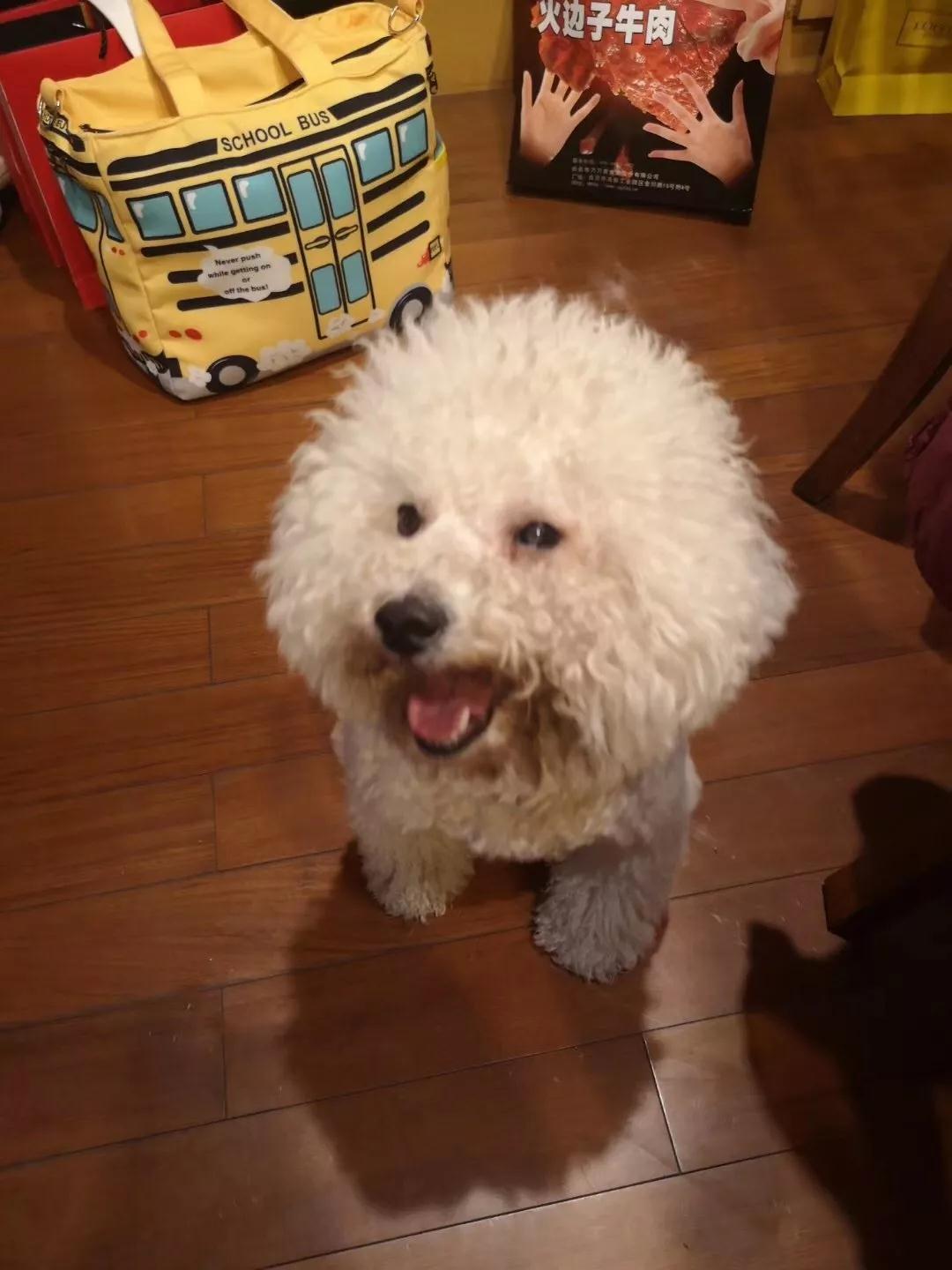 四川吃货攻略大全集,四川正宗土特产干货