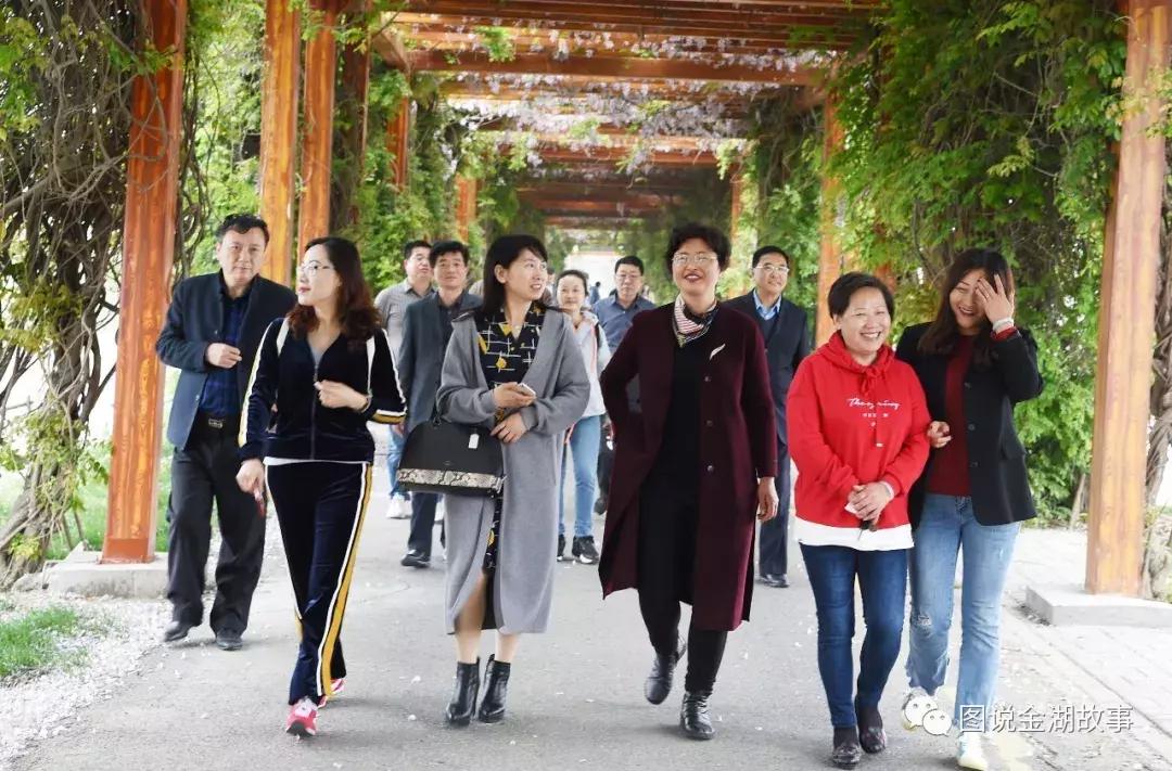 金湖荷花荡灯光秀,金湖荷花池塘美景