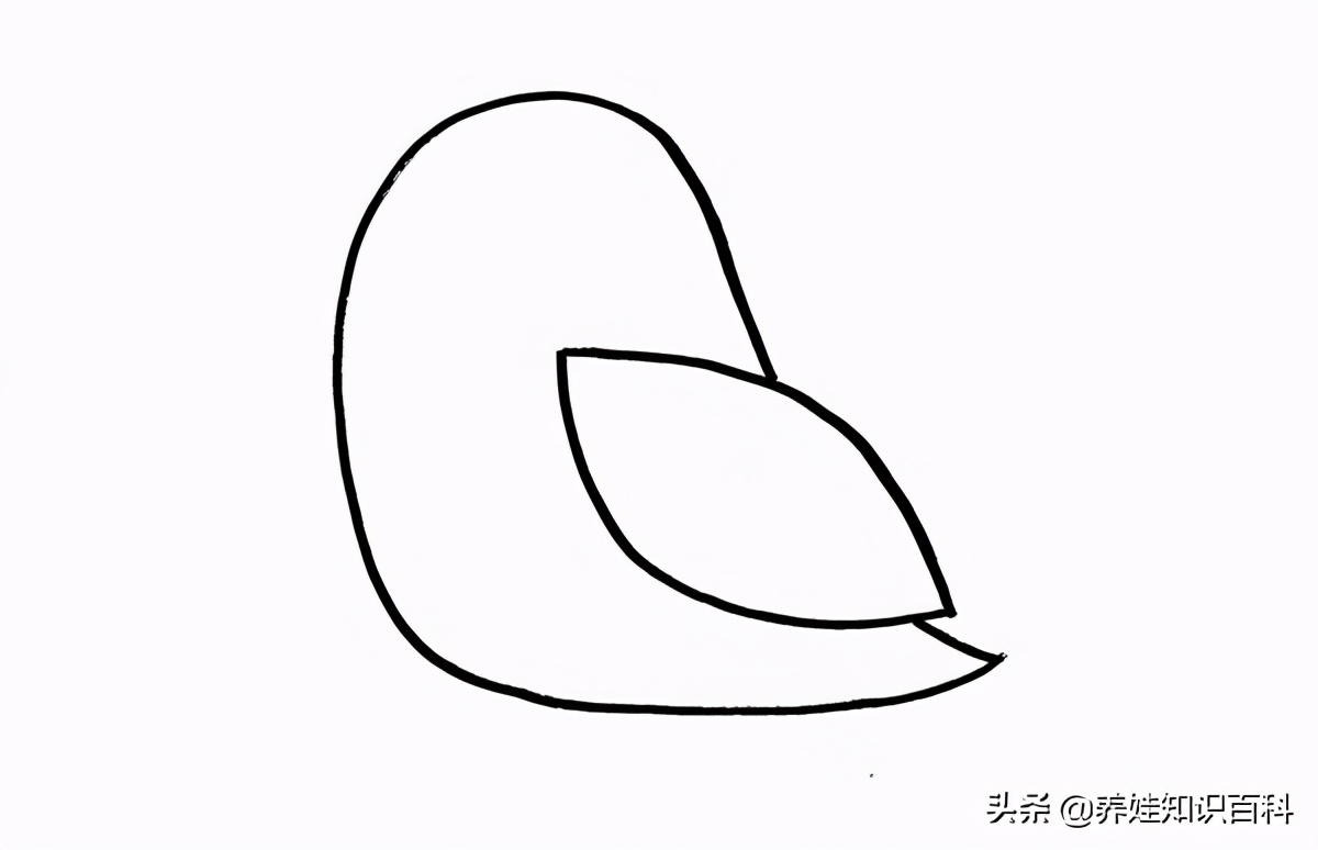快速画小鸟的简单画法,怎样画小鸟最简单画法