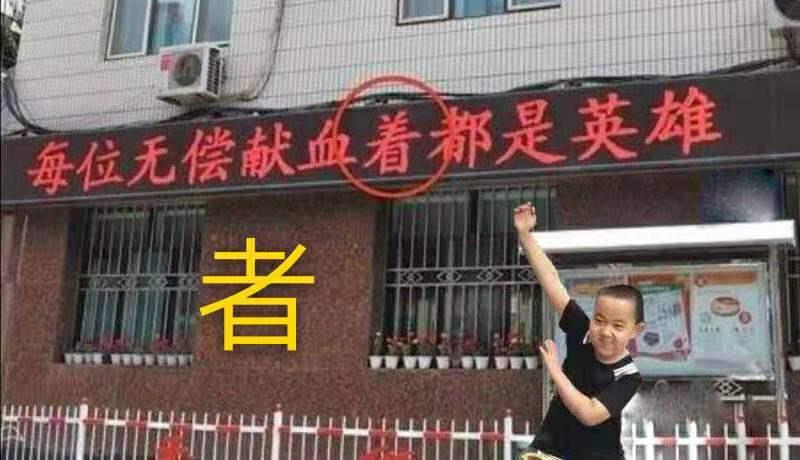 小学啄木鸟行动校外纠正错别字,啄木鸟找错别字实践活动