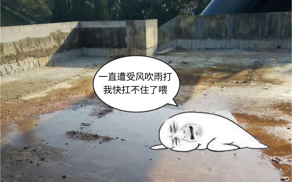 旧屋面翻修防水施工方案,旧屋面防水保温的翻新方案