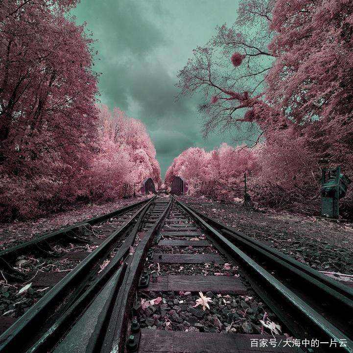 入驻头条感谢关注的话,入驻今日头条的感悟