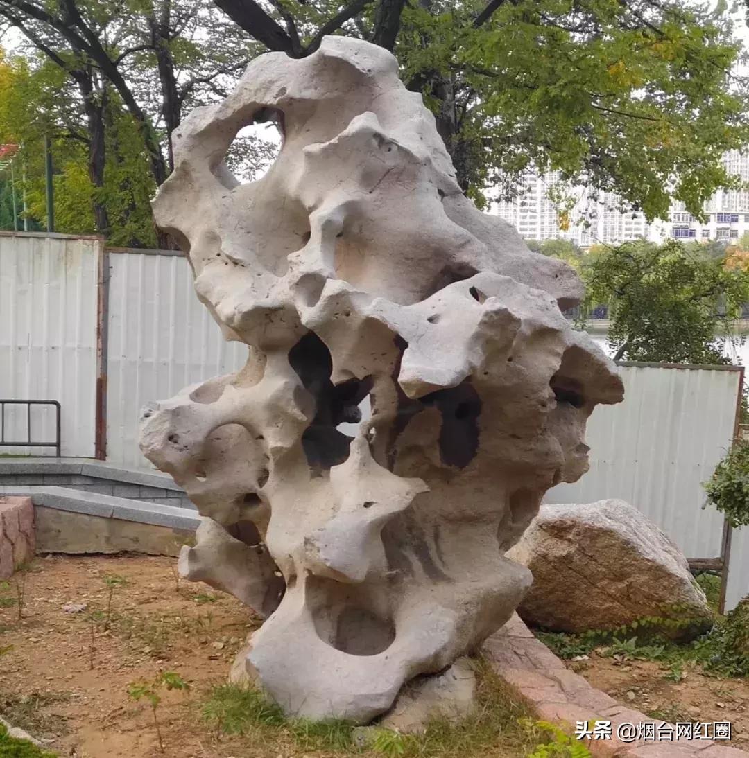 现在是2019年3月份，你们对烟台大学的了解到底有多少呢？