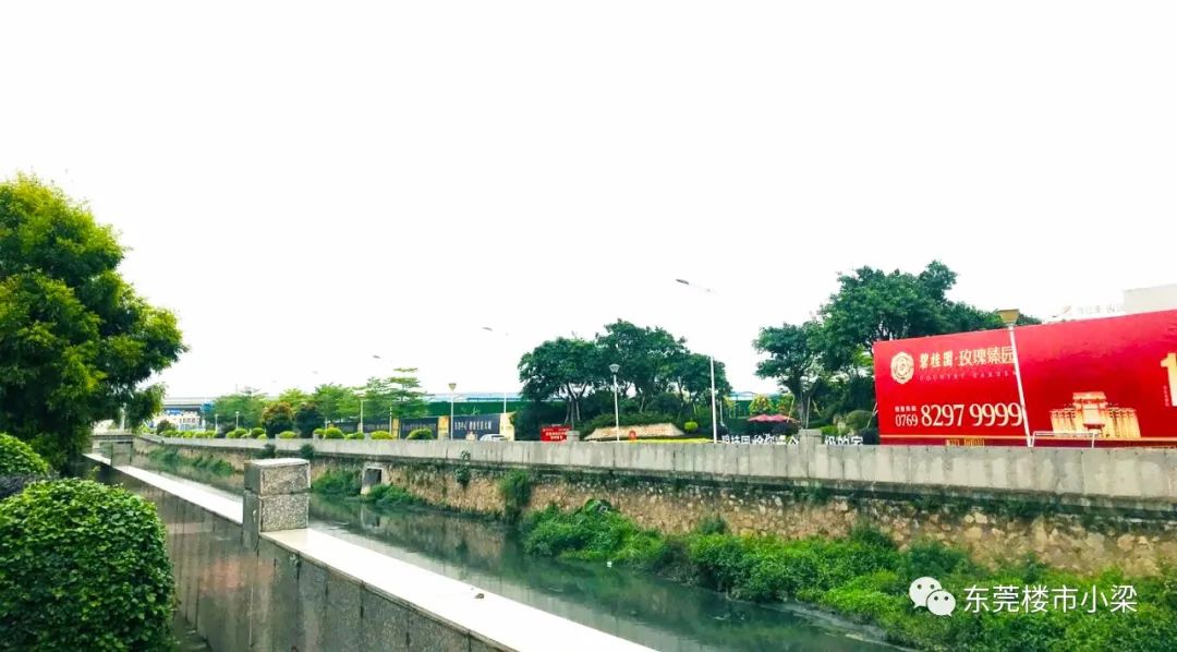 碧桂园常平玫瑰臻园别墅,东莞常平碧桂园玫瑰臻园