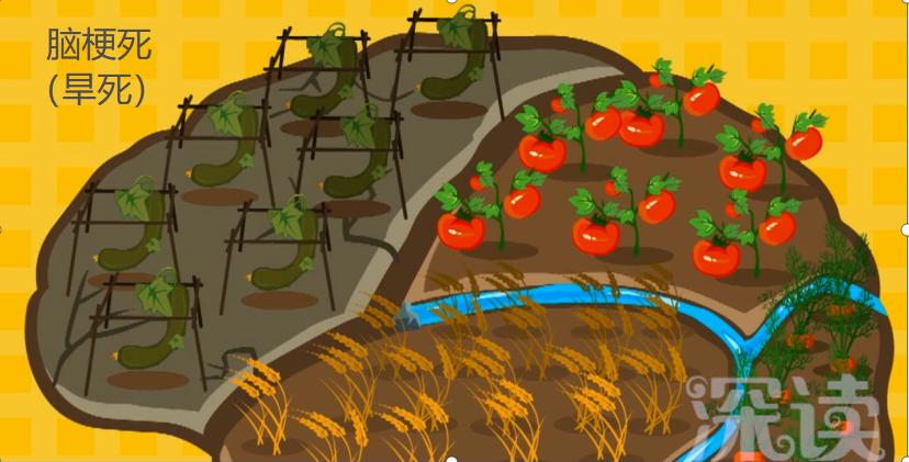 得了脑血管堵塞怎么办,脑血管堵塞了有什么办法吗