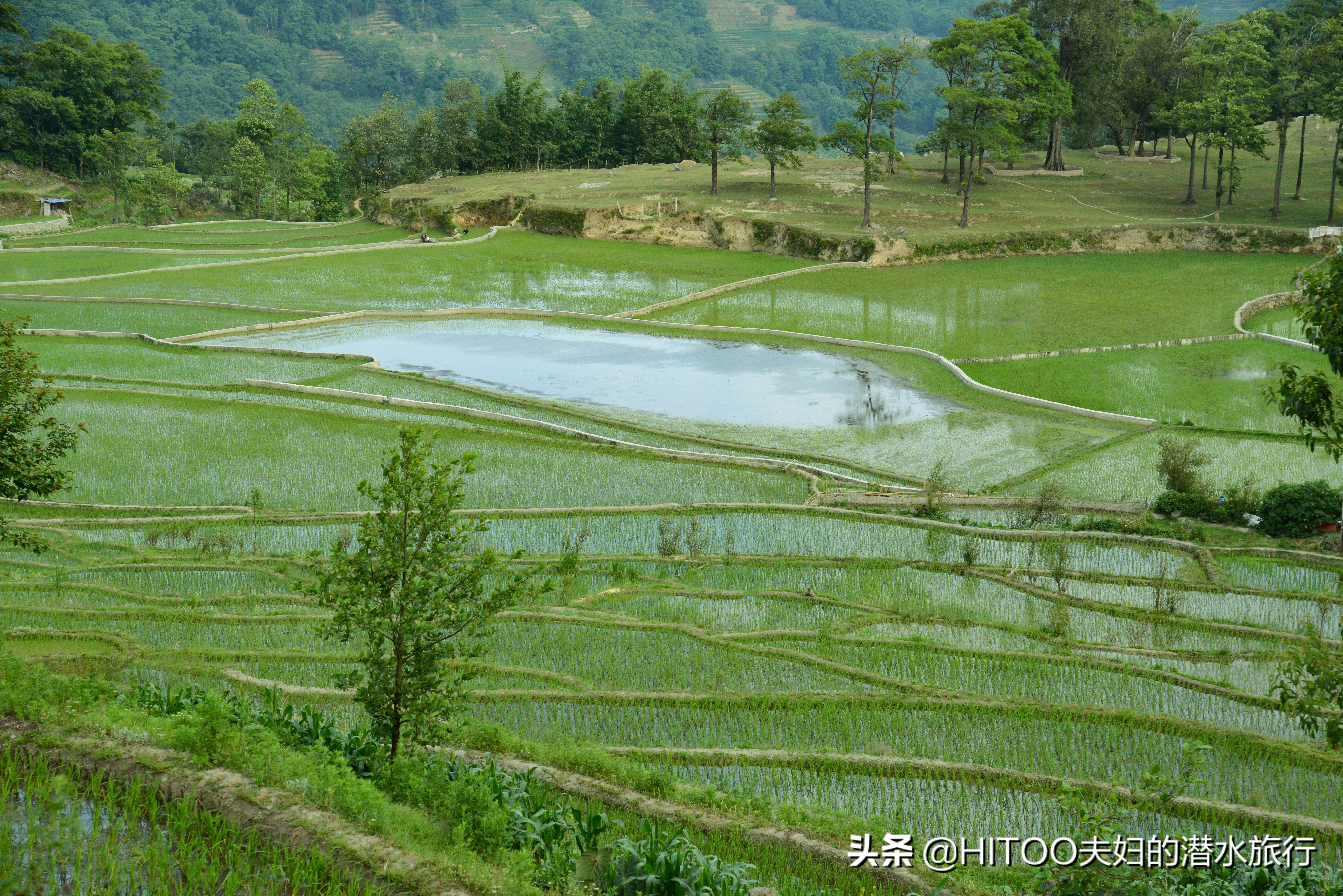 不花钱看元阳梯田自驾攻略,元阳梯田自驾游攻略