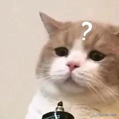 热搜第一！微信彩蛋新功能！赶紧来试试