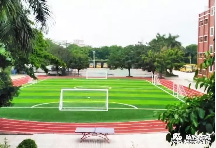 全国特色足球学校名单,东莞足球特色学校排名前十