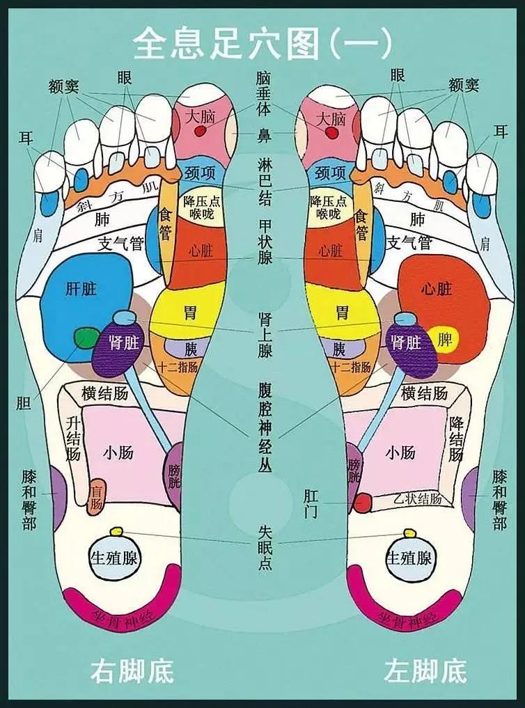 眼科临床用药大全,不同眼科疾病的用药指南参考