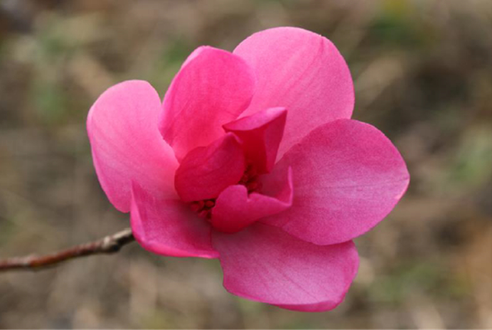 十二星座男的内心世界图片,12星座男生藏在内心里的事