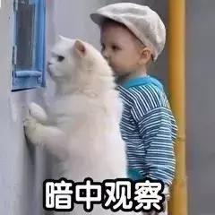 脱审车辆被交警查到一般怎么处理,如何看车辆脱审了