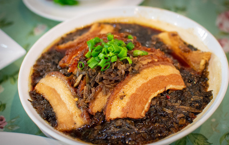 星湖冬日燃情，比落羽杉还要红的是什么？#我和湿地有个约会#