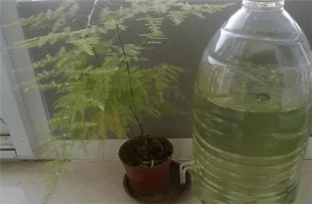 自制养花自动浇水神器教程,自制浇花喂水神器两根管