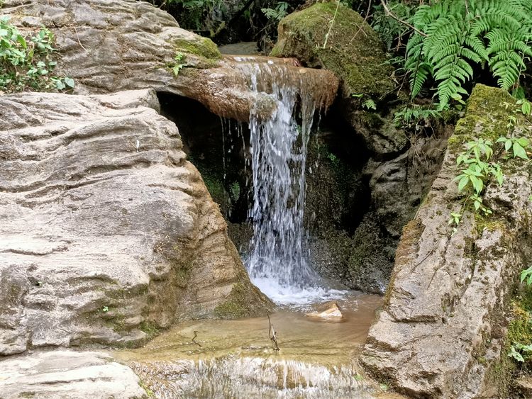 大美武隆仙女山,畅游重庆武隆区仙女山